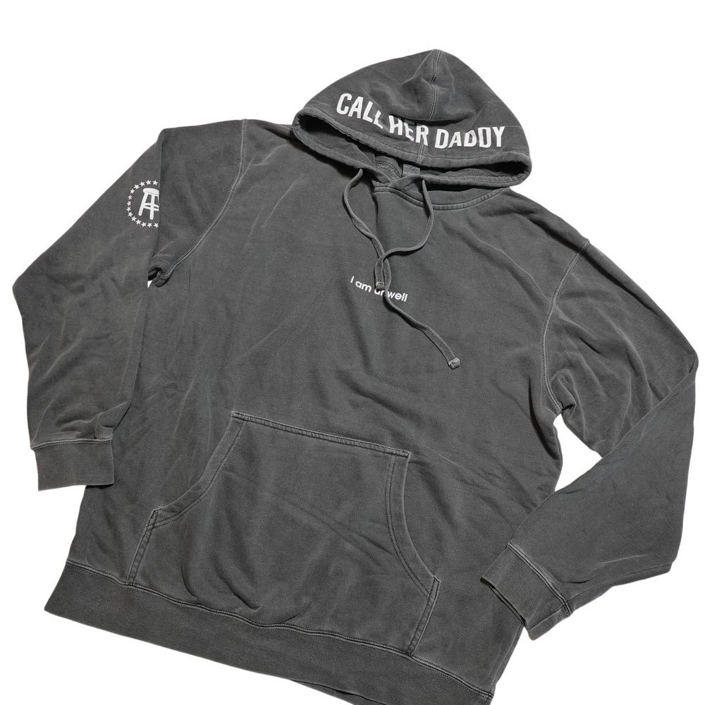 Call Her Daddy I Am Unwell Hoodie Independent Trading Company Mens L Gray Fleece